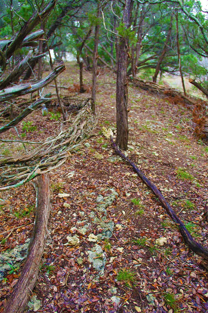 Land Art Landscaping For Farms & Ranches